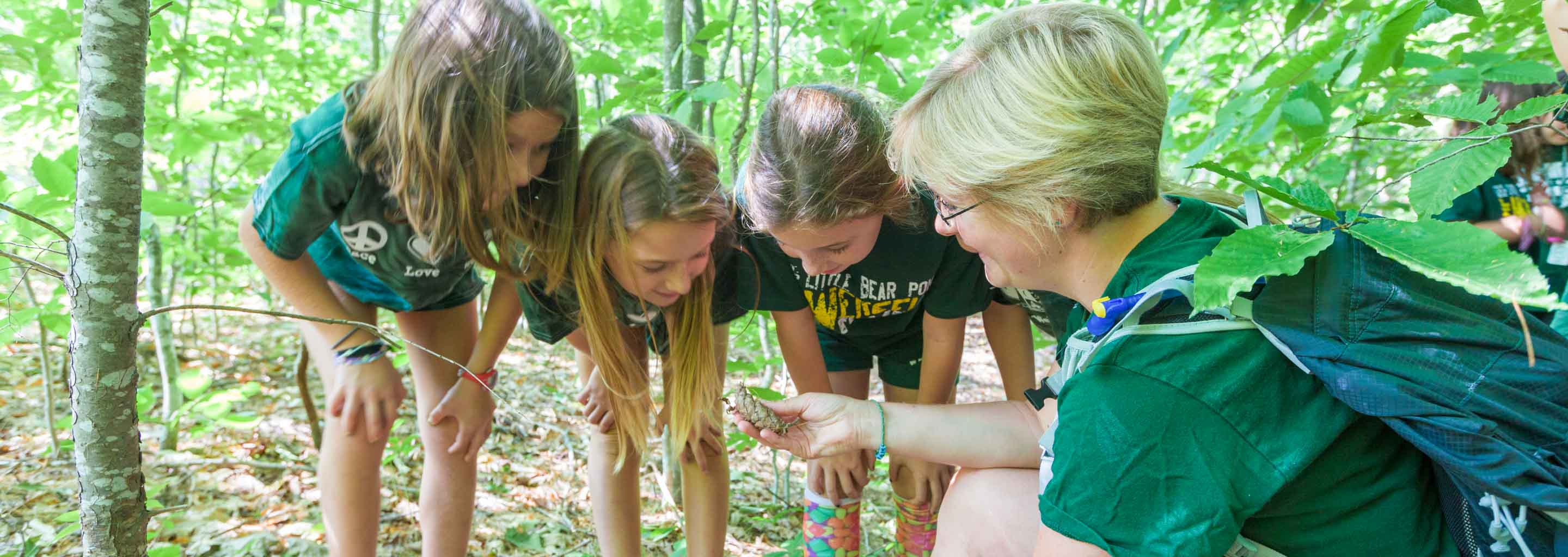 Girls receive a nature lesson at summer camp in America